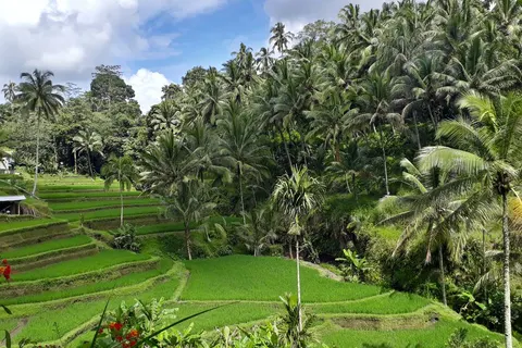 The Great Sumatra & Bali Adventure foto 4