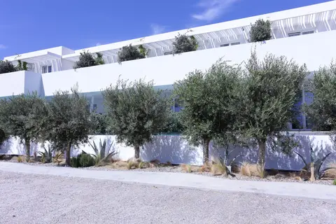 Mykonos Dove Beach Hotel in Πλατύς Γιαλός — foto 26