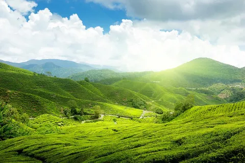 16-daagse rondreis Highlights van Maleisië in Kuala Lumpur — foto 3