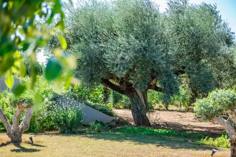 Nestor Luxury Villas in Romanos, foto 19