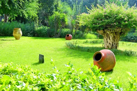 Hotel Dionysos foto 4