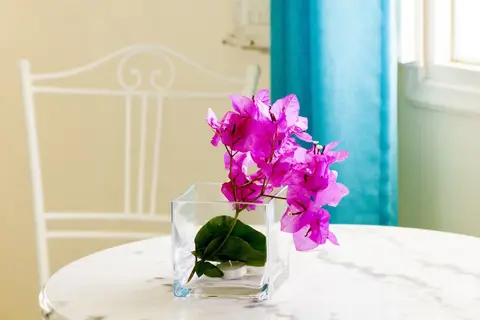 Meli Meli Accommodation in Δημοτική Ενότητα Θήρας — foto 22