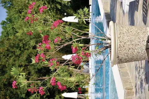 Hotel Riva Park in Несебър — foto 9