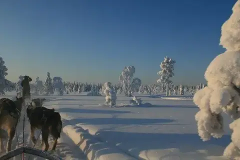 5-daags Winteravontuur Levi in Fins Lapland — foto 10