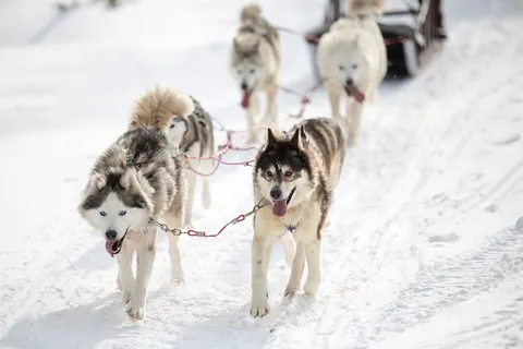 Santa's Hotel Tunturi foto 4