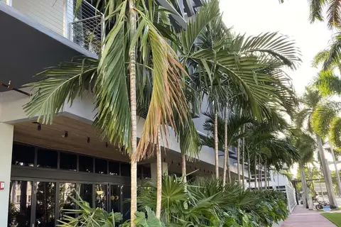 The March Hotel in Miami Beach — foto 9