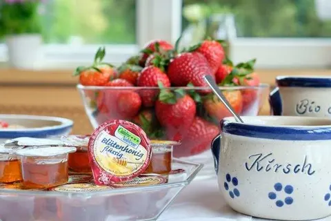 Landhotel Zum Storchennest foto 15