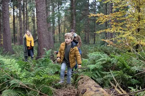 Vakantiepark Westerbergen in Echten — foto 53