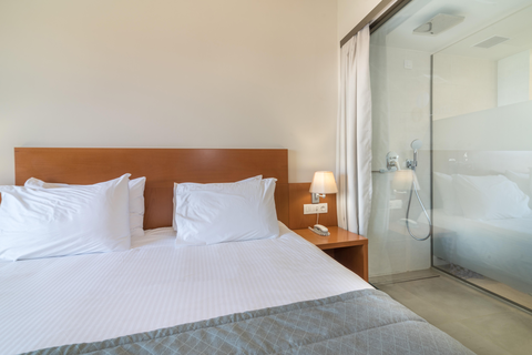 Hotel Palmyra foto 10