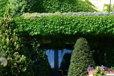 Best Western Hotel Corsi in Rome, foto 11
