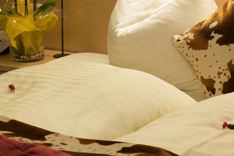 Landhaus Carla foto 12