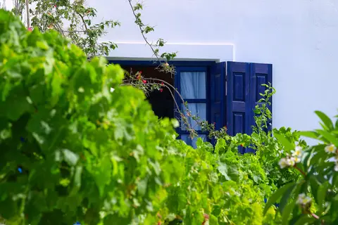 Argo Hotel in Δημοτική Ενότητα Καρπάθου — foto 26