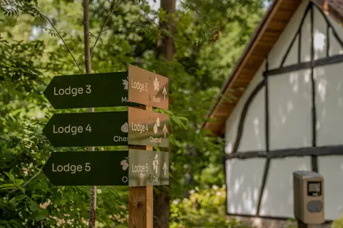Vakantiepark Woodz Lodges in Heusden — foto 3