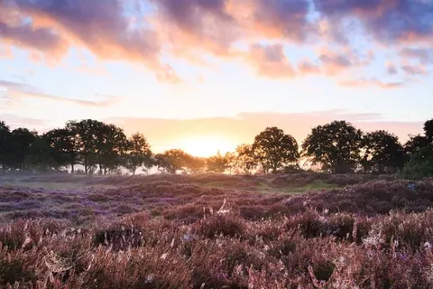 Hotel de Stoppelberg foto 22