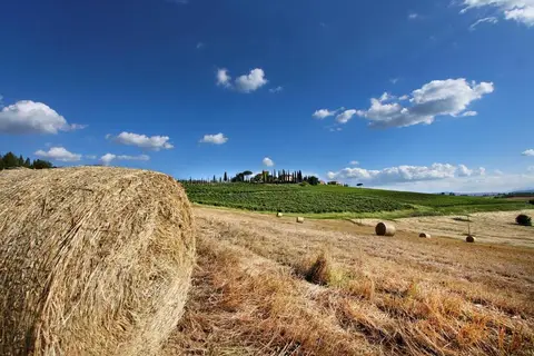 Hotel & Appartementen Borgo Tre Rose in Montepulciano — foto 6