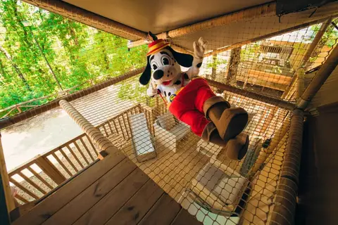 Papillon Country Resort in Denekamp — foto 26