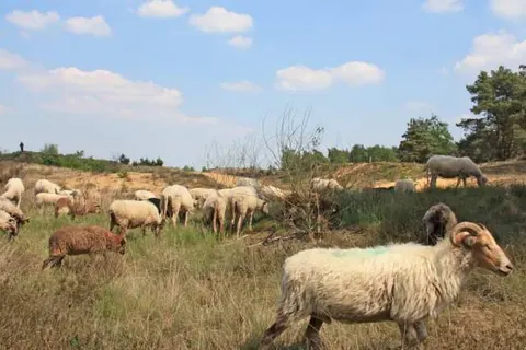 Recreatieoord Wilhelm Tell foto 31