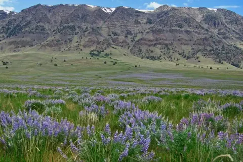 Oregon op het gemak foto 18