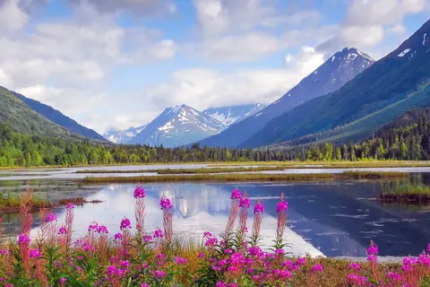 Explore the Wilderness of Alaska & Yukon foto 4