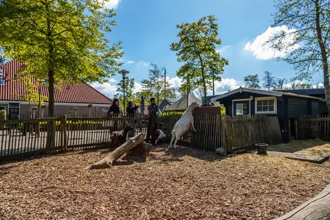 Vakantiepark Buitenhuizen in Velsen-Zuid — foto 26