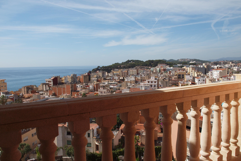 Hotel Alba Seleqtta foto 4