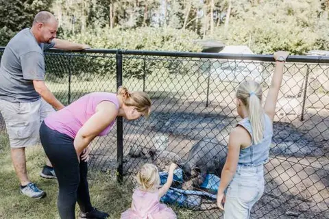 Camping Siësta foto 21