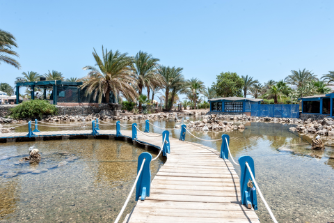 Club Paradisio El Gouna foto 7