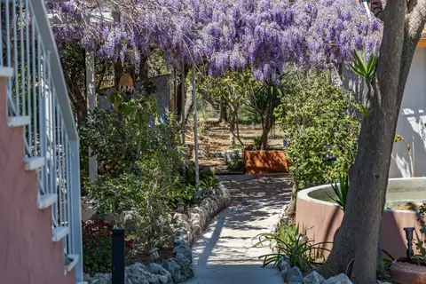 Thires Guesthouse in Δημοτική Ενότητα Ζακυνθίων — foto 8
