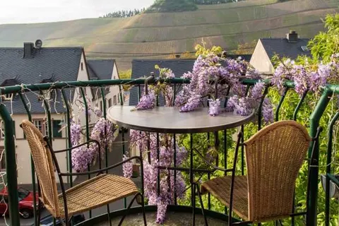 Ferienresidenz Brauneberger Hof foto 17