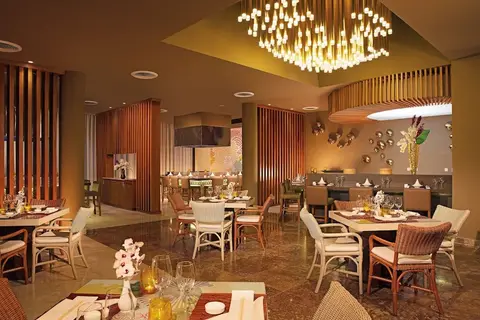 Dreams Royal Beach Punta Cana in Punta Cana — foto 17