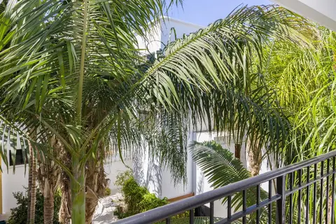 Alecos Hotel Apartments in Paphos — foto 2