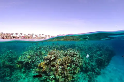 Brayka Bay Resort in مرسى علم — foto 29