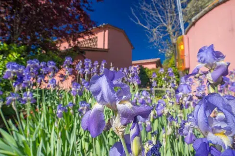 Relais Campiglioni foto 5