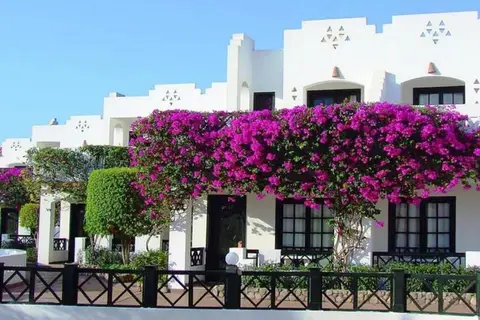 Verginia Sharm Resort in Sharm El Sheikh — foto 11