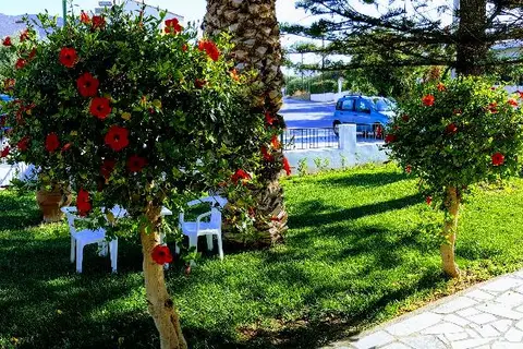 Mastorakis Hotel & Studios in Chersonissos — foto 8