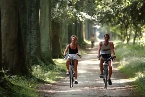 Vakantiepark De Lourenshoeve foto 12