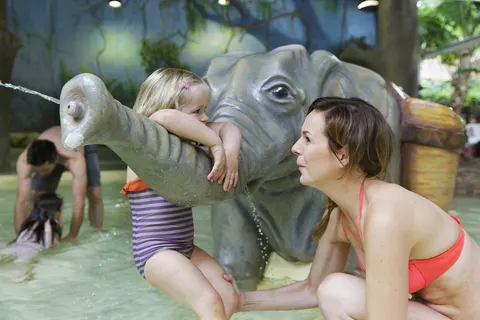 Center Parcs Les Bois-francs foto 10