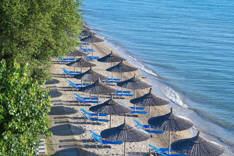 Hotel Delfinia foto 12