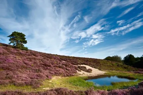 50|50 Hotel Belmont foto 21