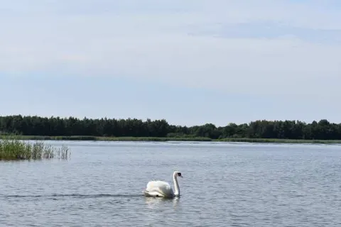 Strandparc Nulde foto 22