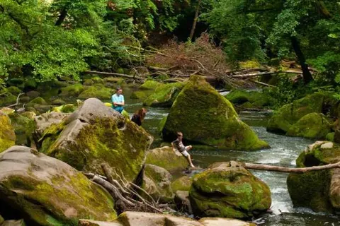 Country Camp Auf Kengert foto 23