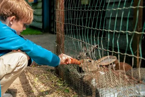 Vakantiepark Ruinen foto 4