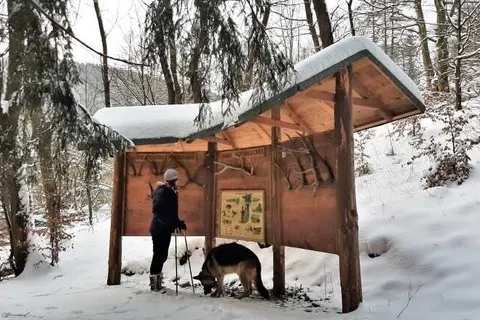 Harz Hotel Iris foto 31