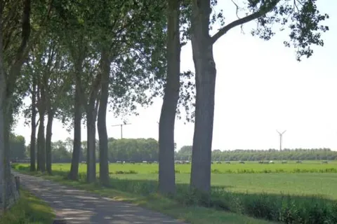 Camping De Lage Werf foto 15