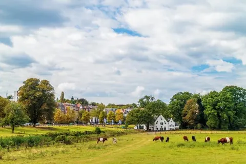 Wellnessresort & Hotel De Valkenberg foto 33