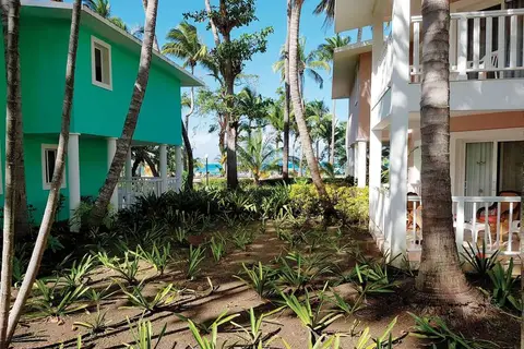 Senator Puerto Plata Spa Resort in Maimón — foto 22