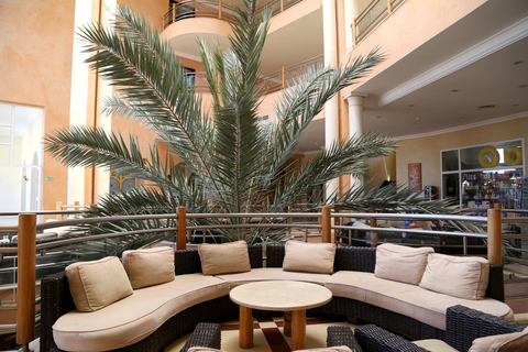 Hotel Eden Star foto 12