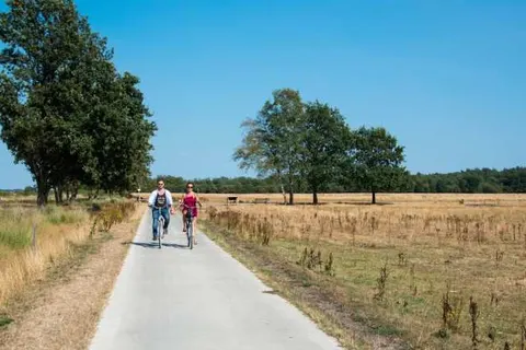 Vakantiepark De Wiltzangh in Ruinen — foto 15