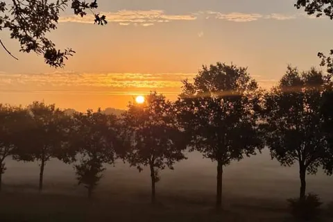 Boutique Hotel Het Witte Veen foto 33