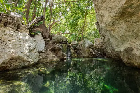 Palmaïa - The House of AïA in Playa del Carmen — foto 8